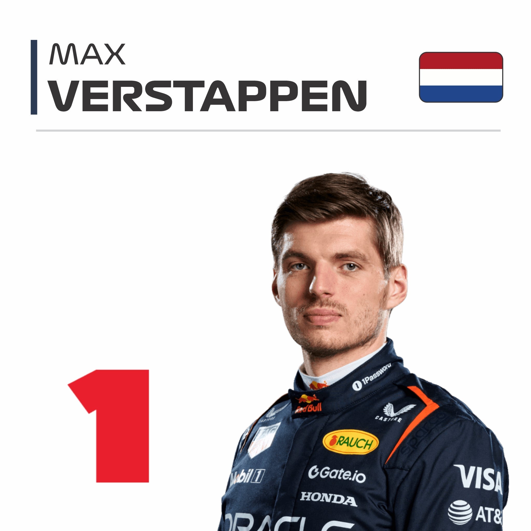 Max Verstappen F1 Race Suit